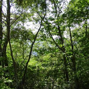 Photo #2 of TBD HIGH VALLEY SOUTH, MONTEREY, VA 5.0 acres