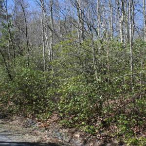 Photo #2 of TBD Summit Dr. SUMMIT DR, MONTEREY, VA 6.8 acres
