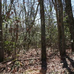 Photo #1 of TBD Summit Dr. SUMMIT DR, MONTEREY, VA 6.8 acres
