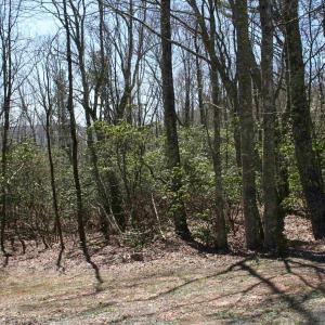 Photo #7 of TBD Summit Dr. SUMMIT DR, MONTEREY, VA 6.8 acres