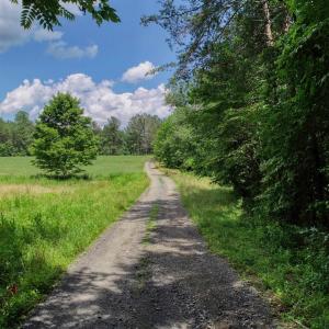 Photo #1 of TBD LOST VALLEY RD, EARLYSVILLE, VA 32.5 acres