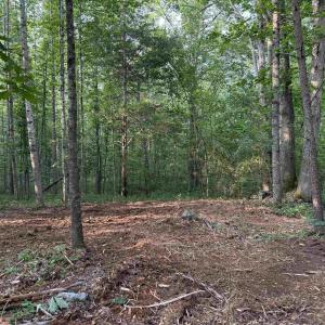 Photo #3 of TBD LOST VALLEY RD, EARLYSVILLE, VA 32.5 acres