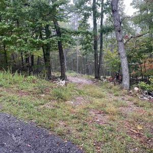 Photo #1 of TBD PANORAMA VIEW DR, STANLEY, VA 9.8 acres