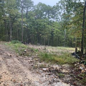 Photo #3 of TBD PANORAMA VIEW DR, STANLEY, VA 9.8 acres