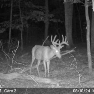 Photo #17 of TBD PANORAMA VIEW DR, STANLEY, VA 9.8 acres