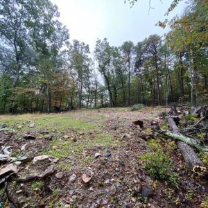 Photo #5 of TBD PANORAMA VIEW DR, STANLEY, VA 9.8 acres