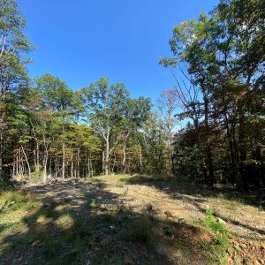 Photo #12 of TBD PANORAMA VIEW DR, STANLEY, VA 9.8 acres