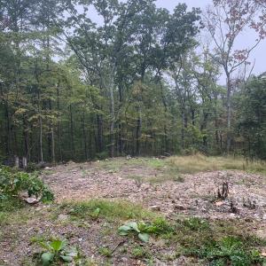 Photo #2 of TBD PANORAMA VIEW DR, STANLEY, VA 9.8 acres