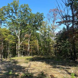 Photo #11 of TBD PANORAMA VIEW DR, STANLEY, VA 9.8 acres