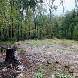 Photo #7 of TBD PANORAMA VIEW DR, STANLEY, VA 9.8 acres