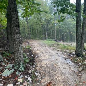 Photo #4 of TBD PANORAMA VIEW DR, STANLEY, VA 9.8 acres