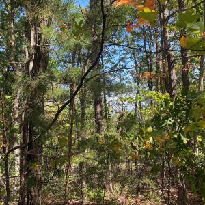 Photo #13 of TBD PANORAMA VIEW DR, STANLEY, VA 9.8 acres