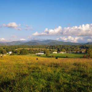 Photo #2 of 47 acres LEE HWY, RAPHINE, VA 47.0 acres