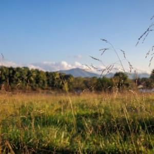 Photo #8 of 47 acres LEE HWY, RAPHINE, VA 47.0 acres