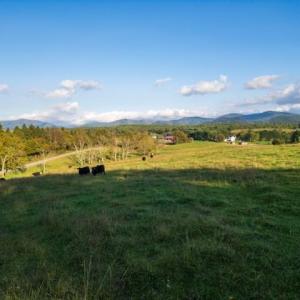 Photo #19 of 47 acres LEE HWY, RAPHINE, VA 47.0 acres