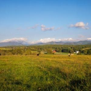 Photo #10 of 47 acres LEE HWY, RAPHINE, VA 47.0 acres