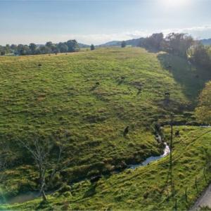 Photo #4 of 47 acres LEE HWY, RAPHINE, VA 47.0 acres