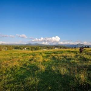 Photo #15 of 47 acres LEE HWY, RAPHINE, VA 47.0 acres