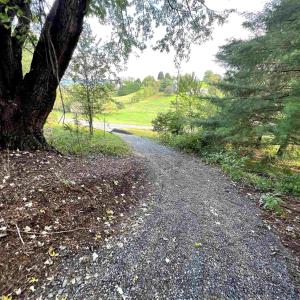 Photo #7 of 5807 MT CLINTON PIKE, ROCKINGHAM, VA 0.6 acres