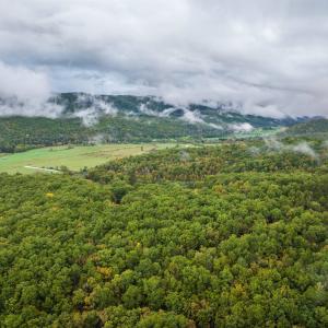 Photo #4 of TBD WHIPPOORWILL LN, MONTEREY, VA 38.8 acres
