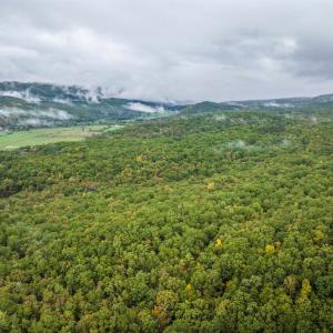 Photo #14 of TBD WHIPPOORWILL LN, MONTEREY, VA 38.8 acres