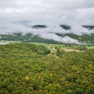 Photo #5 of TBD WHIPPOORWILL LN, MONTEREY, VA 38.8 acres