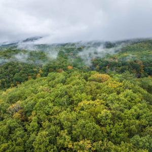 Photo #19 of TBD WHIPPOORWILL LN, MONTEREY, VA 38.8 acres