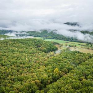 Photo #9 of TBD WHIPPOORWILL LN, MONTEREY, VA 38.8 acres