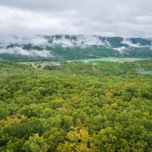 Photo #22 of TBD WHIPPOORWILL LN, MONTEREY, VA 38.8 acres