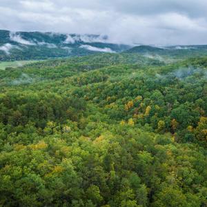 Photo #24 of TBD WHIPPOORWILL LN, MONTEREY, VA 38.8 acres