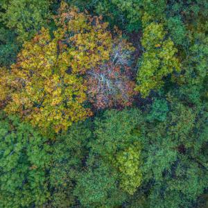 Photo #23 of TBD WHIPPOORWILL LN, MONTEREY, VA 38.8 acres