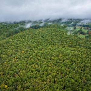 Photo #13 of TBD WHIPPOORWILL LN, MONTEREY, VA 38.8 acres