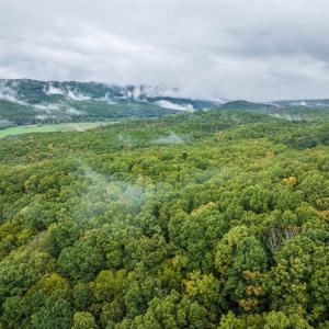 Photo #18 of TBD WHIPPOORWILL LN, MONTEREY, VA 38.8 acres