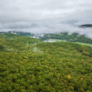 Photo #6 of TBD WHIPPOORWILL LN, MONTEREY, VA 38.8 acres