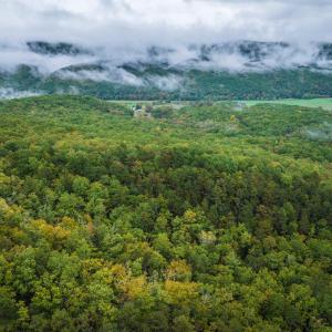 Photo #25 of TBD WHIPPOORWILL LN, MONTEREY, VA 38.8 acres