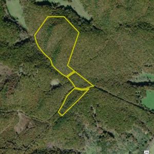 Photo #38 of TBD WHIPPOORWILL LN, MONTEREY, VA 38.8 acres
