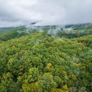 Photo #17 of TBD WHIPPOORWILL LN, MONTEREY, VA 38.8 acres