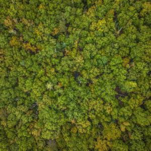Photo #8 of TBD WHIPPOORWILL LN, MONTEREY, VA 38.8 acres