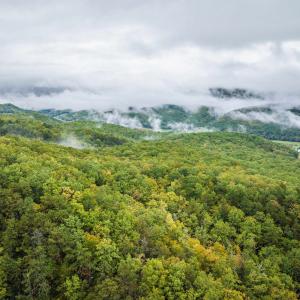 Photo #1 of TBD WHIPPOORWILL LN, MONTEREY, VA 38.8 acres