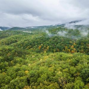 Photo #20 of TBD WHIPPOORWILL LN, MONTEREY, VA 38.8 acres