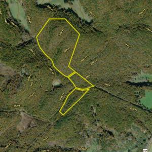 Photo #39 of TBD WHIPPOORWILL LN, MONTEREY, VA 38.8 acres
