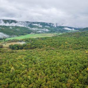 Photo #15 of TBD WHIPPOORWILL LN, MONTEREY, VA 38.8 acres
