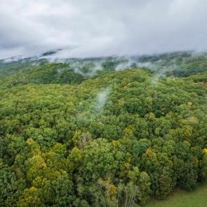 Photo #16 of TBD WHIPPOORWILL LN, MONTEREY, VA 38.8 acres