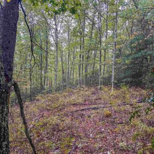 Photo #30 of TBD WHIPPOORWILL LN, MONTEREY, VA 38.8 acres