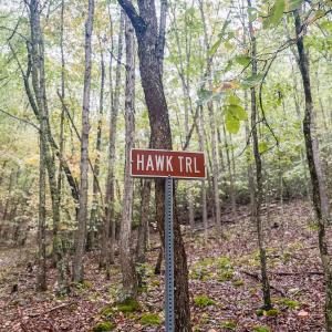 Photo #34 of TBD WHIPPOORWILL LN, MONTEREY, VA 38.8 acres