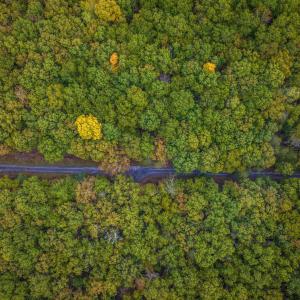 Photo #10 of TBD WHIPPOORWILL LN, MONTEREY, VA 38.8 acres