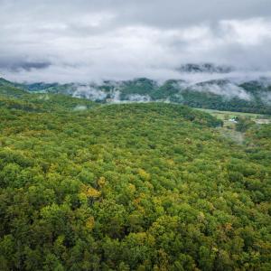 Photo #26 of TBD WHIPPOORWILL LN, MONTEREY, VA 38.8 acres
