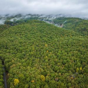 Photo #11 of TBD WHIPPOORWILL LN, MONTEREY, VA 38.8 acres