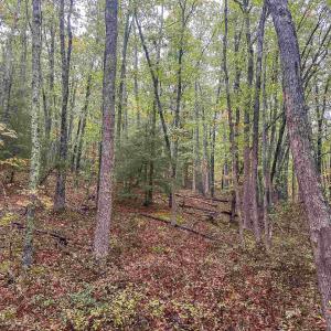 Photo #37 of TBD WHIPPOORWILL LN, MONTEREY, VA 38.8 acres