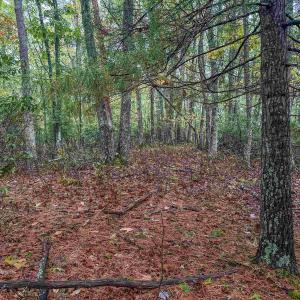 Photo #29 of TBD WHIPPOORWILL LN, MONTEREY, VA 38.8 acres